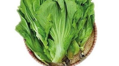 Tác dụng của cải bẹ theo y học cổ truyền