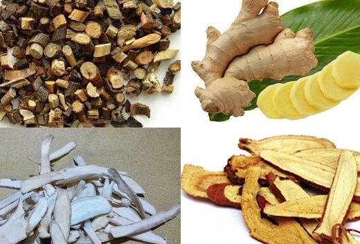 Một số bài thuốc y học cổ truyền trị cảm lạnh