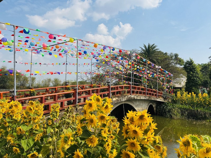 Công viên Đồng Xanh - địa điểm du lịch ấn tượng tại Gia Lai dịp Xuân Giáp Thìn 2024