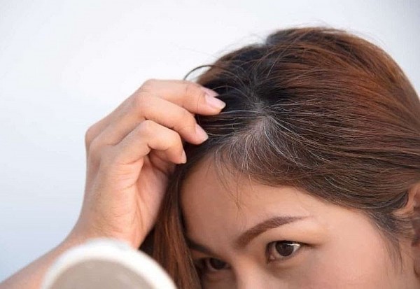 4 bài thuốc chữa tóc bạc sớm ở thanh niên