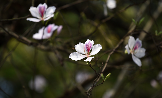 Dự báo thời tiết ngày 23/2/2024: Hà Nội mưa, rét, gió đông bắc cấp 2-3 Dự báo thời tiết ngày 23/2/2024: Hà Nội mưa, rét, gió đông bắc cấp 2-3