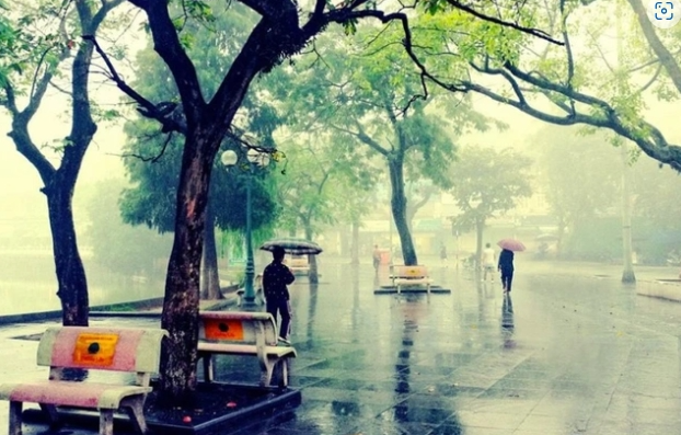 Dự báo thời tiết ngày 24/2/2024: Hà Nội nhiều mây, mưa, trời rét