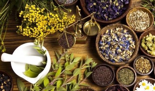 Tính gia truyền trong thuốc Nam của người Việt