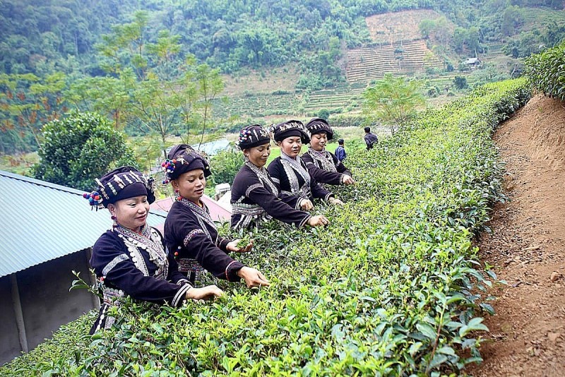 Lai Châu: Phát huy nội lực, xây dựng nông thôn mới nâng cao