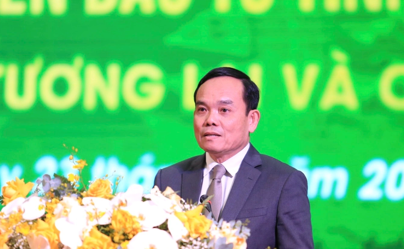 Phó Thủ tướng Trần Lưu Quang phát biểu chỉ đạo tại hội nghị 