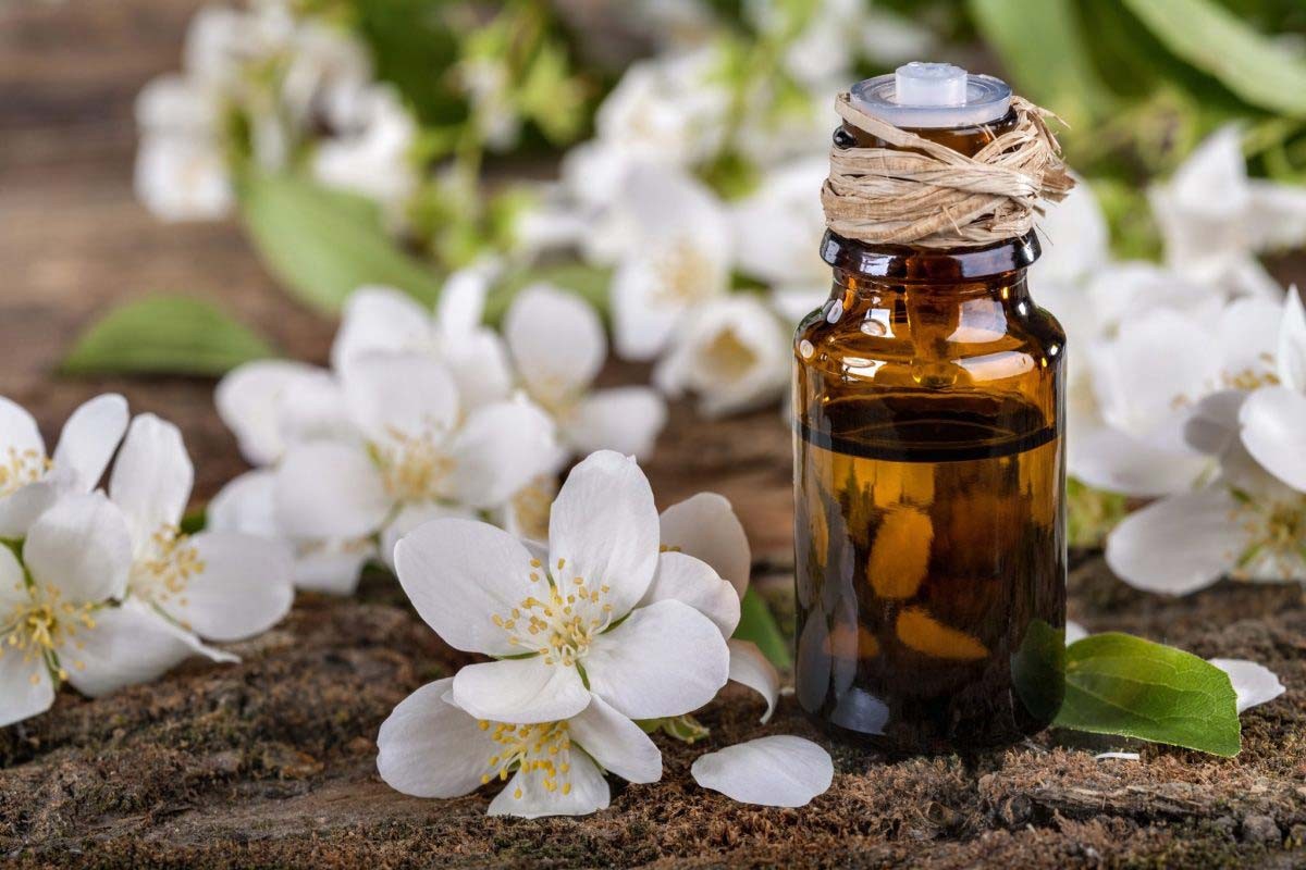 Tháng 3 mùa hoa bưởi: Chuyên gia chỉ loạt bài thuốc chữa bệnh và làm đẹp
