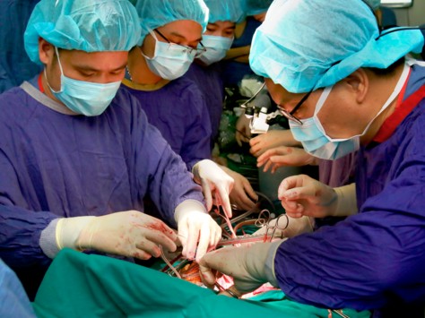 Thành lập Chi hội vận động hiến tặng mô, bộ phận cơ thể người khu vực phía Nam