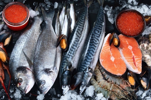 Sử dụng cá làm thức ăn thay thế thịt đỏ sẽ mang lại lợi ích sức khỏe cộng đồng đáng kể