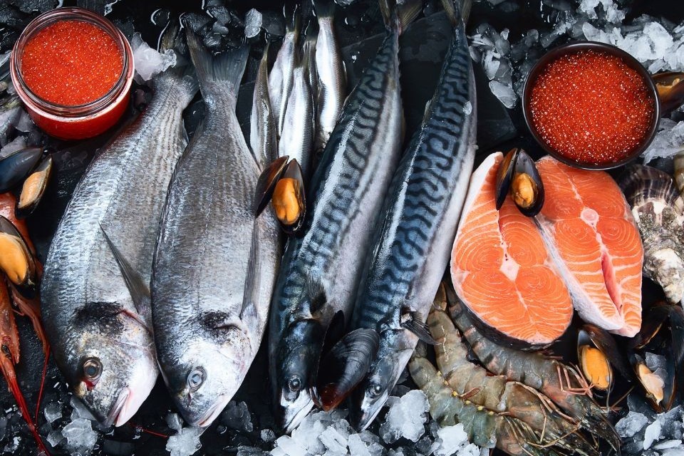Sử dụng cá làm thức ăn thay thế thịt đỏ sẽ mang lại lợi ích sức khỏe cộng đồng đáng kể