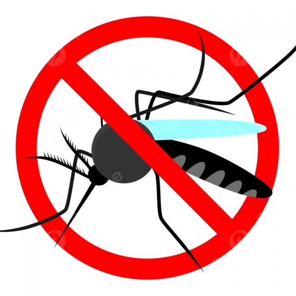 TP. HCM bảo vệ thành quả loại trừ bệnh sốt rét