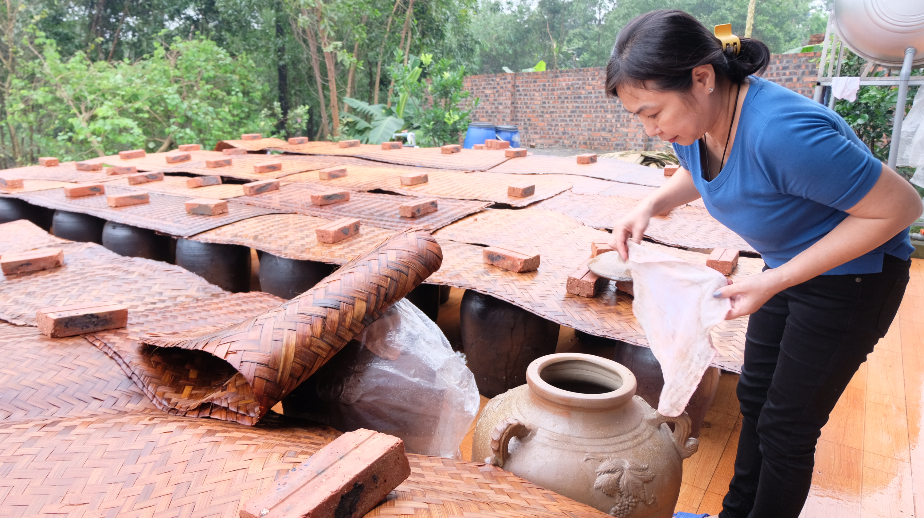 Liên kết phát triển sản phẩm thảo dược tại huyện Sóc Sơn