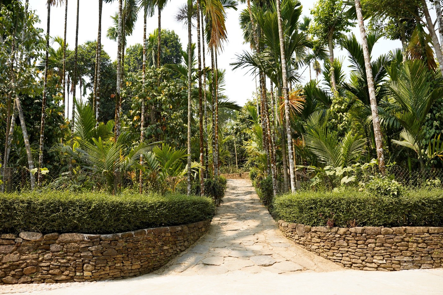 Về với Làng cổ Lộc Yên - làng quê bình yên, điểm đến của du lịch xanh của Quảng Nam Về với Làng cổ Lộc Yên - làng quê bình yên, điểm đến của du lịch xanh của Quảng Nam