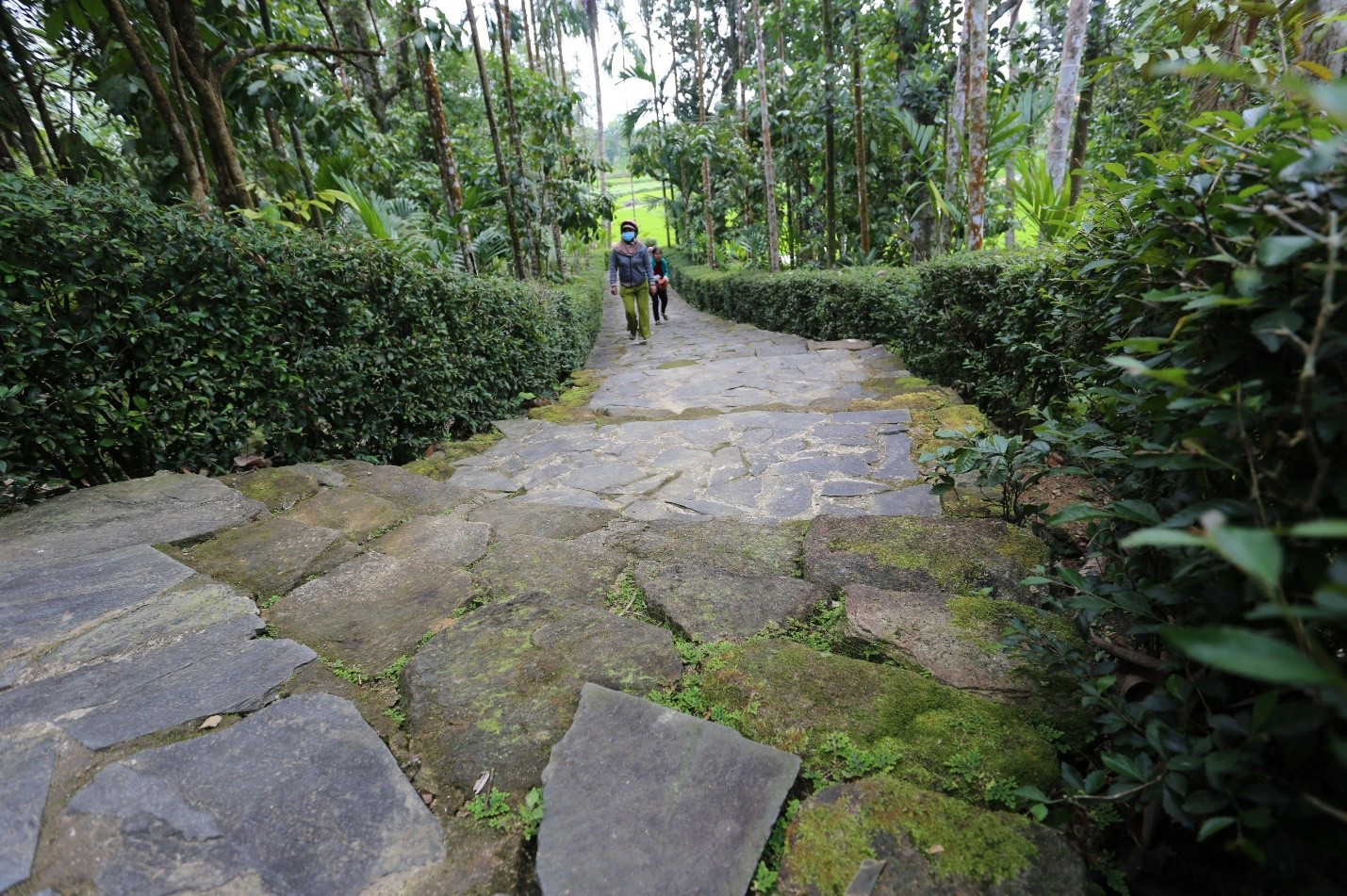 Về với Làng cổ Lộc Yên - làng quê bình yên, điểm đến của du lịch xanh của Quảng Nam Về với Làng cổ Lộc Yên - làng quê bình yên, điểm đến của du lịch xanh của Quảng Nam
