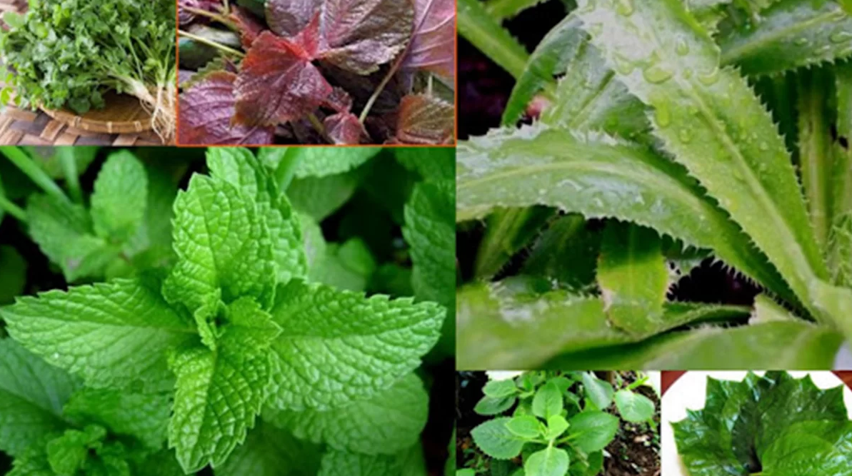 Top thực phẩm tự nhiên giàu chất kẽm