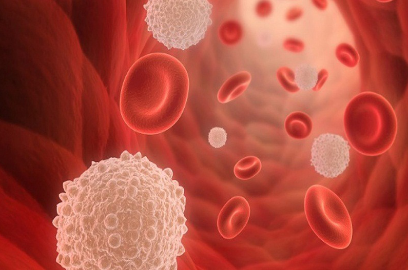 Làm gì để phòng bệnh tan máu bẩm sinh?