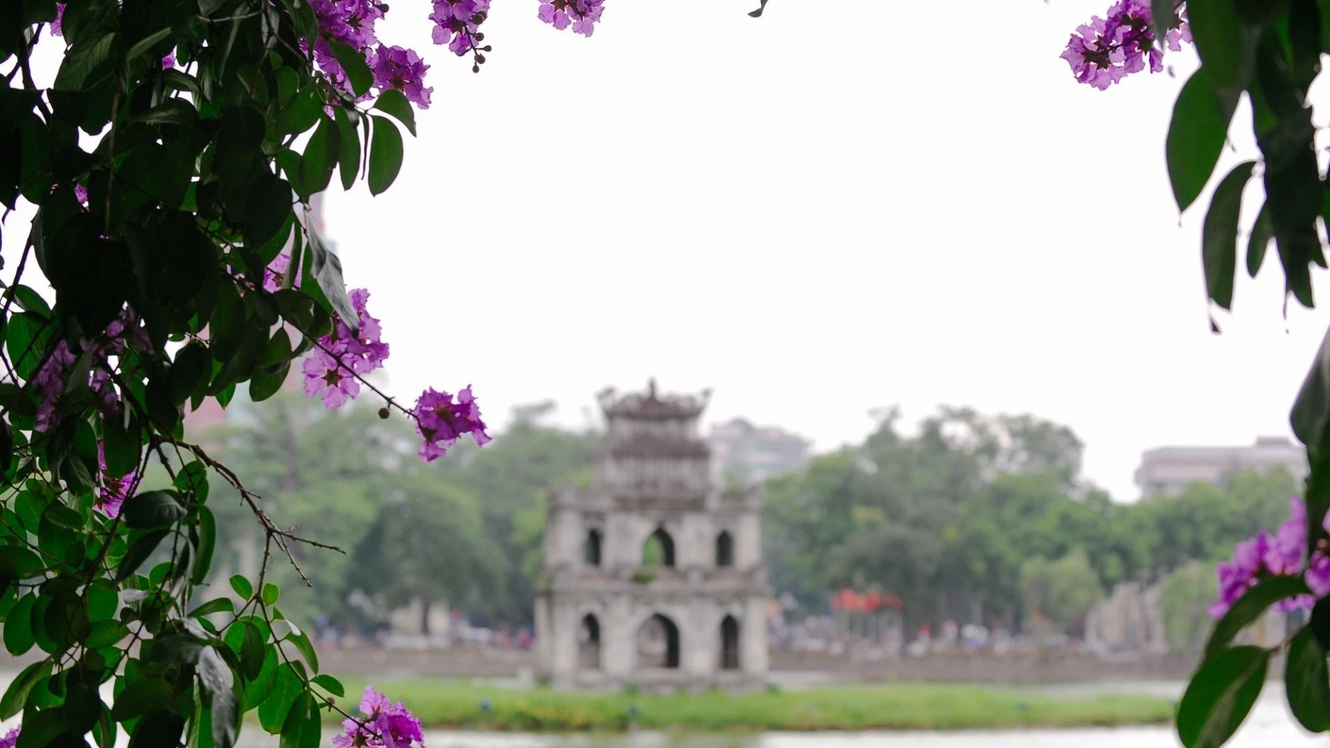 Thời tiết ngày 19/5/2024: Hà Nội ngày nắng, chiều tối có mưa rào và dông