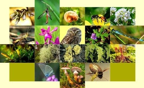 [E-Magazine] Nâng cao nhận thức về bảo tồn đa dạng sinh học