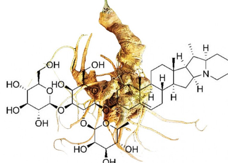 Với công dụng “thần kỳ”, cao sâm Ngọc Linh giúp nâng cao thể trạng, tăng sức đề kháng
