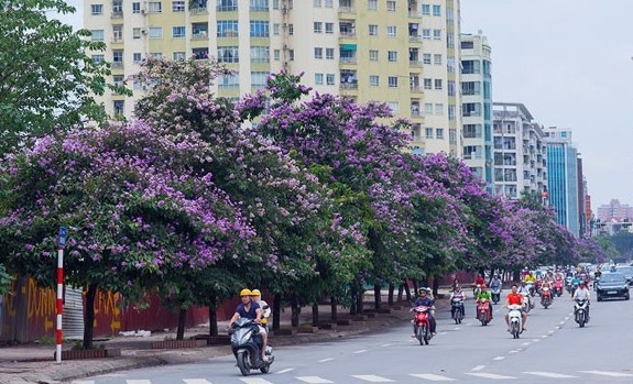 Dự báo thời tiết ngày 15/5/2024:  Bắc Bộ sáng nắng, chiều tối mưa to