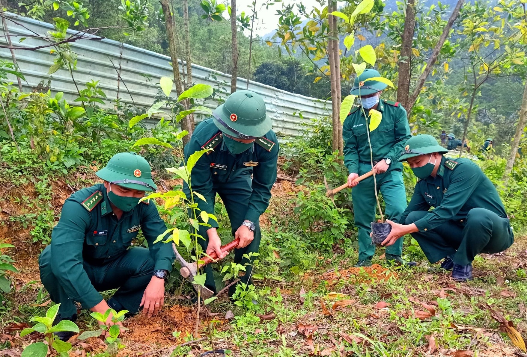 Đà Nẵng đã trồng hơn 1 triệu cây xanh