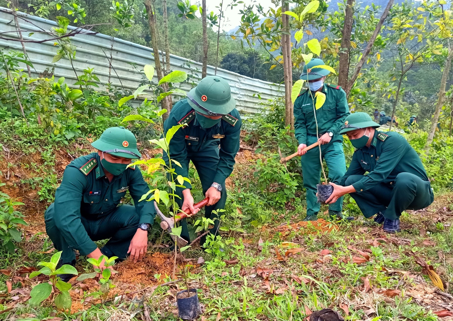 Đà Nẵng đã trồng hơn 1 triệu cây xanh