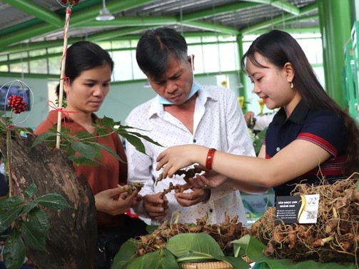 Quảng Nam có cơ hội phát triển thành trung tâm dược liệu và mỹ phẩm của Việt Nam