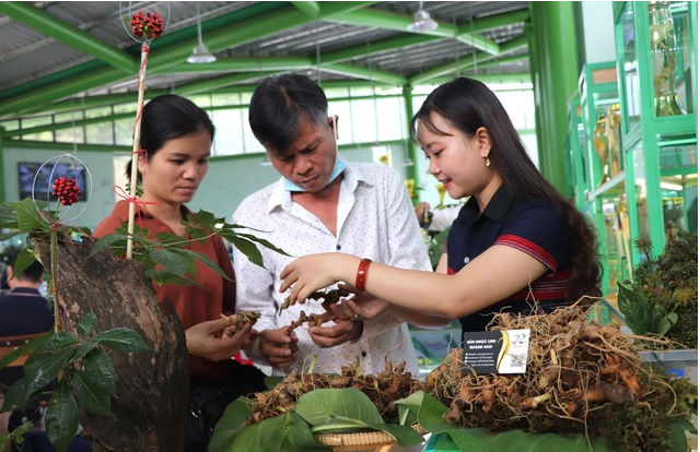Quảng Nam mong muốn phát triển ngành công nghiệp dược liệu và mỹ phẩm tại Việt Nam Quảng Nam mong muốn phát triển ngành công nghiệp dược liệu và mỹ phẩm tại Việt Nam