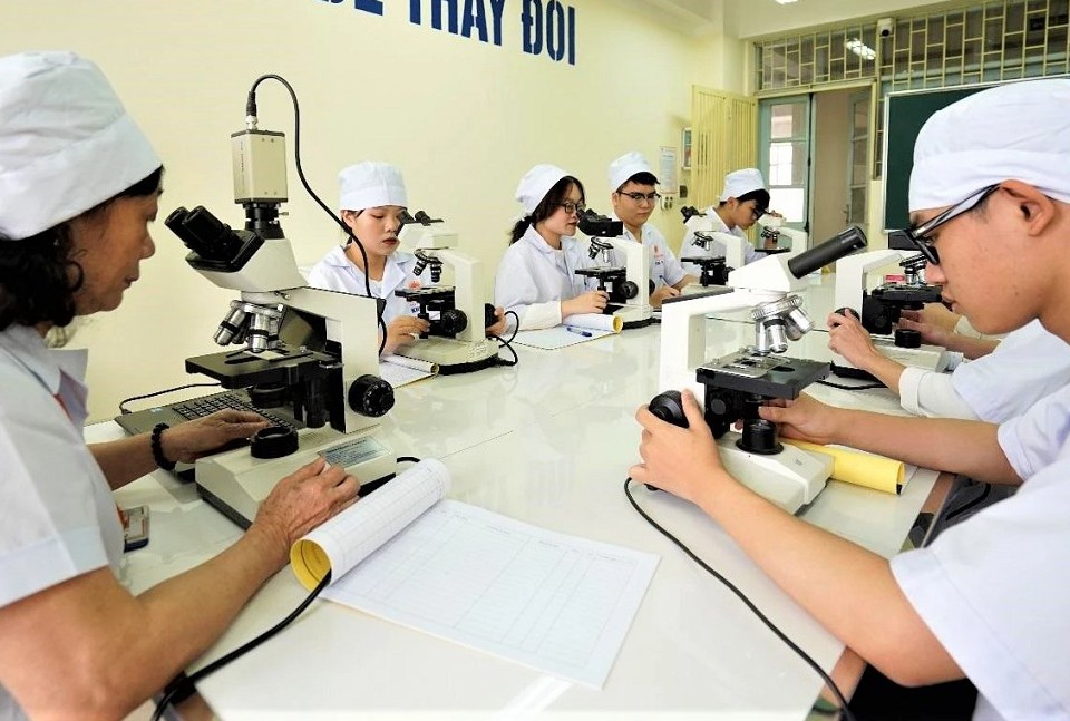 Xây dựng quy định về đào tạo chuyên sâu đặc thù trong lĩnh vực sức khỏe
