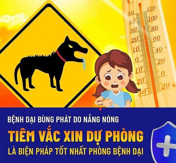 Lâm Đồng: Tăng cường công tác phòng, chống các bệnh lây truyền từ động vật sang người