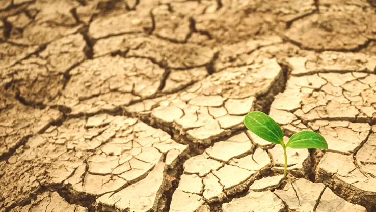 Biến đổi khí hậu ảnh hưởng đến sức khỏe não bộ