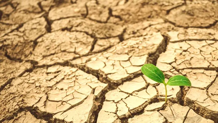 Biến đổi khí hậu ảnh hưởng đến sức khỏe não bộ