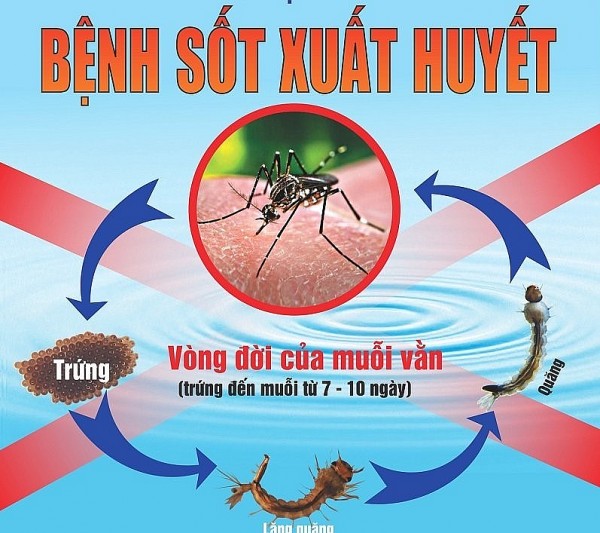 Kon Tum: Tiếp tục thực hiện có hiệu quả công tác phòng, chống dịch sốt xuất huyết Dengue