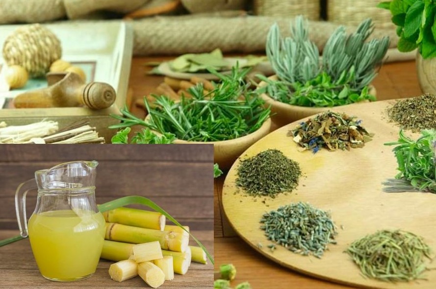 Công dụng của nước mía theo Đông y