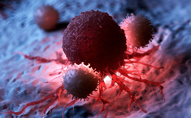 Ung thư được hình thành ra sao, cách phòng bệnh hiệu quả?