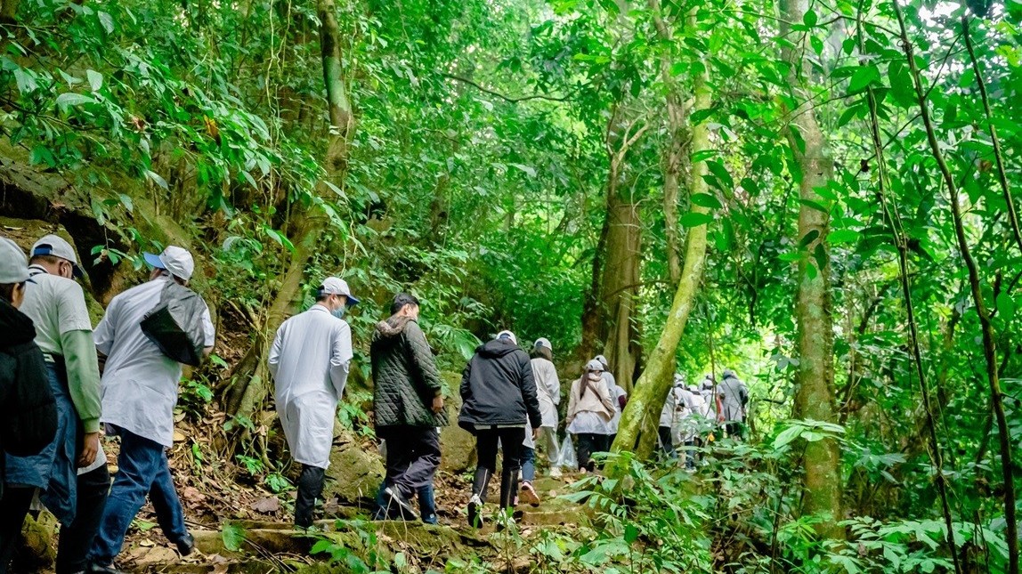Vườn quốc gia Cúc Phương bảo tồn và phát triển nguồn tài nguyên dược liệu dưới tán rừng