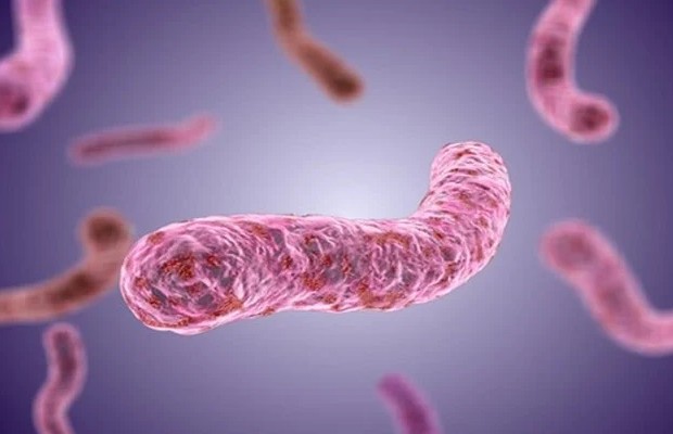 Hàn Quốc ghi nhận ca tử vong đầu tiên do vi khuẩn “ăn thịt người”