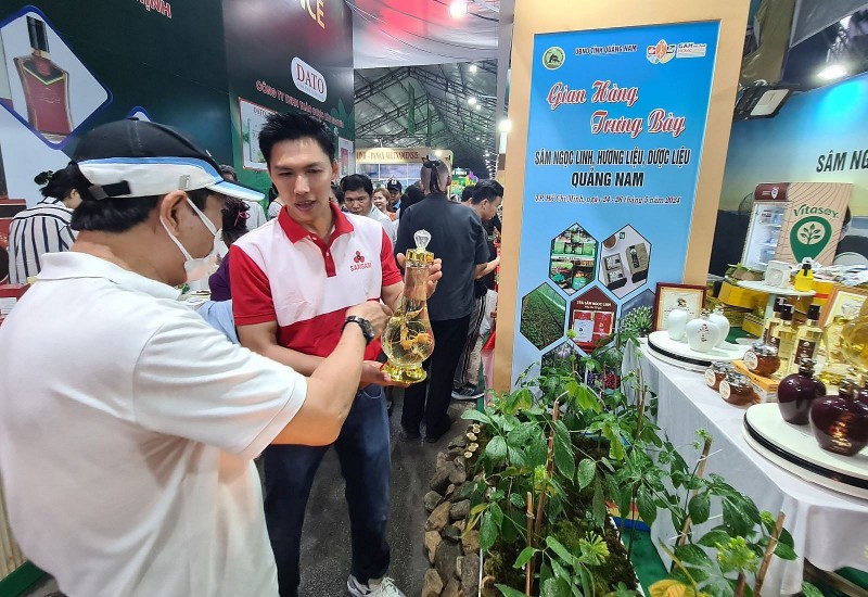 Khai mạc Lễ hội sâm và hương liệu, dược liệu quốc tế TPHCM 2024