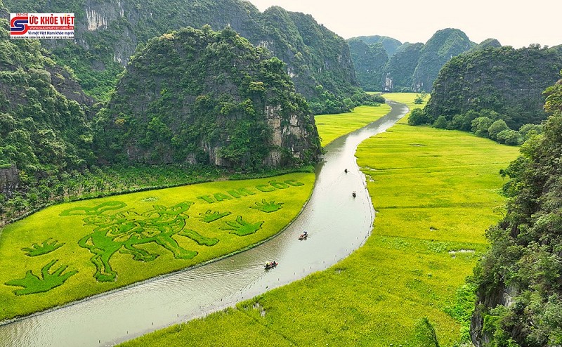 Hình ảnh Mùa vàng Tam Cốc trước ngày khai hội