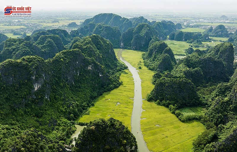 Hình ảnh Mùa vàng Tam Cốc trước ngày khai hội