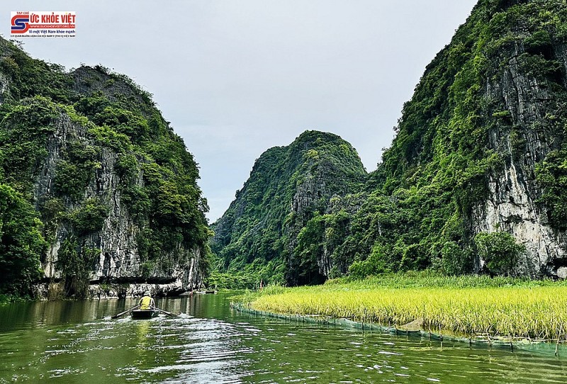 Hình ảnh Mùa vàng Tam Cốc trước ngày khai hội