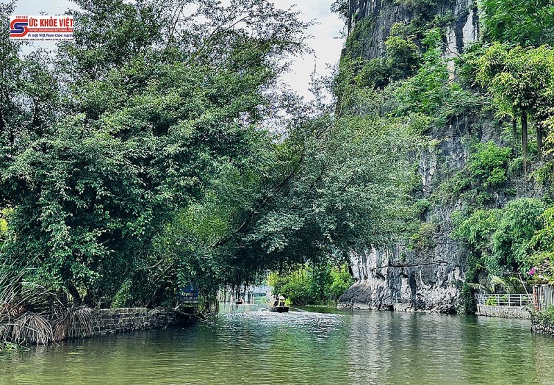 Hình ảnh Mùa vàng Tam Cốc trước ngày khai hội