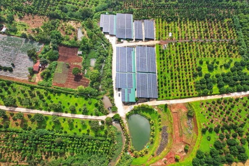 Tổng quan trang trại nuôi trồng nấm ăn, nấm dược liệu, cây ăn trái của Công ty Cổ phần thực phẩm xanh Thành Đồng.