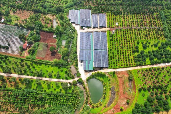 Sản xuất nấm ăn và nấm dược liệu kết hợp hệ thống năng lượng mặt trời tại Đắk Lắk