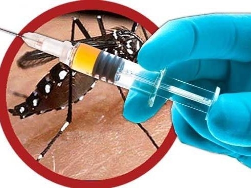 Đảm bảo phòng, chống sốt xuất huyết một cách bền vững