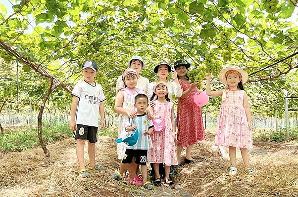 Đắk Lắk: Ama Farm - điểm dừng chân mới của du khách thập phương khi đặt chân đến Tây Nguyên đại ngàn