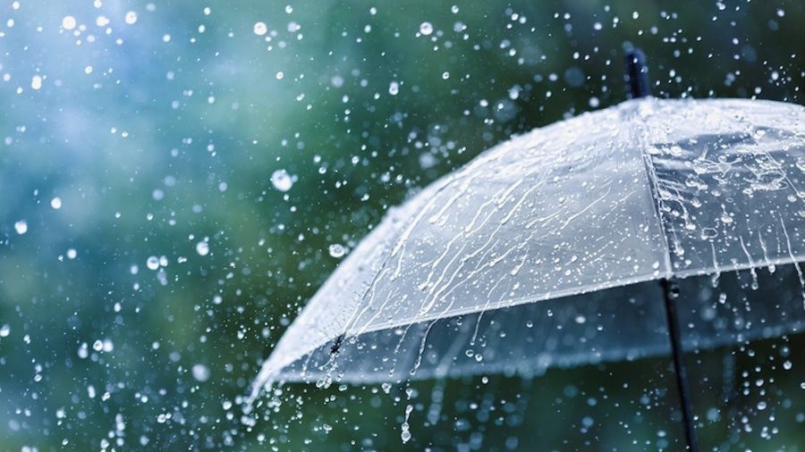 Dự báo thời tiết ngày 4/7/2024: Bắc Bộ mưa rào và dông
