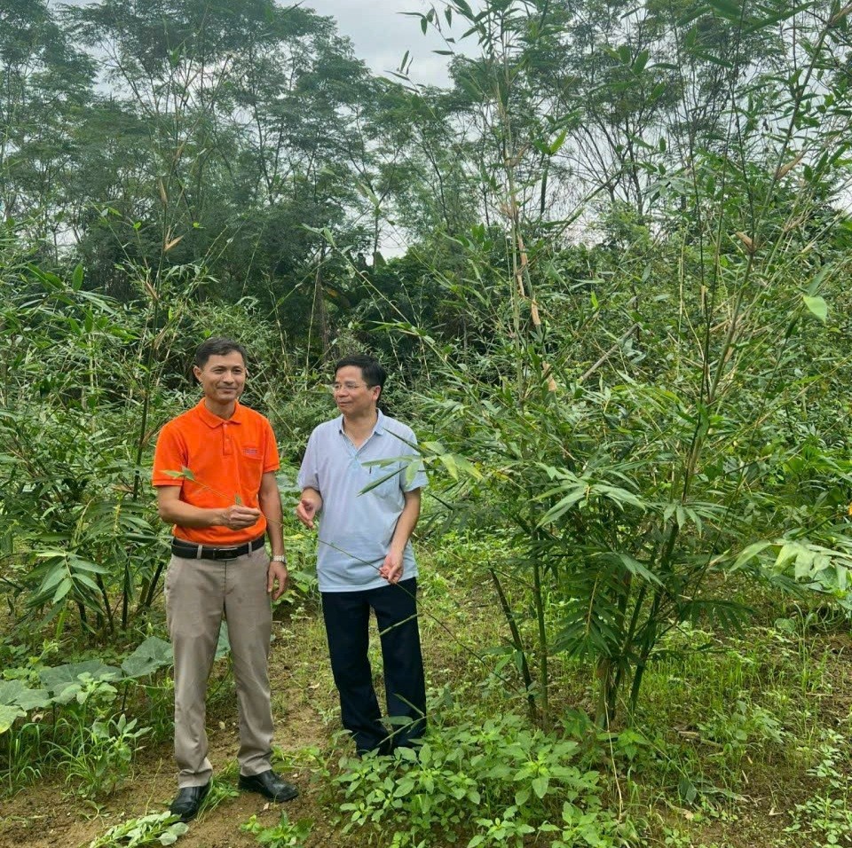 Thái Nguyên- Chương trình OCOP làm phong phú thêm đời sống văn hóa người dân nông thôn