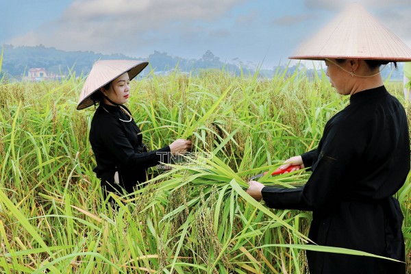 Huyện Phú Lương- Thái Nguyên quyết tâm về đích nông thôn mới đúng hẹn