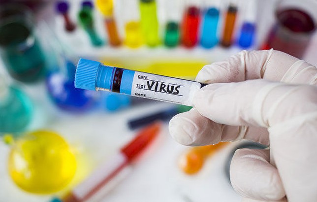 Ấn Độ: Nhiều người tử vong do virus viêm não hiếm gặp