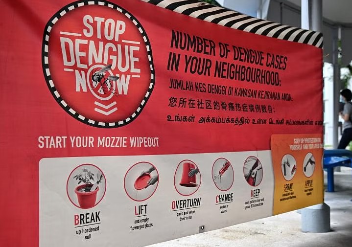 Singapore: Số ca sốt xuất huyết tăng vọt